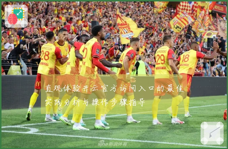 直观体验开云官方访问入口的最佳实践分析与操作步骤指导