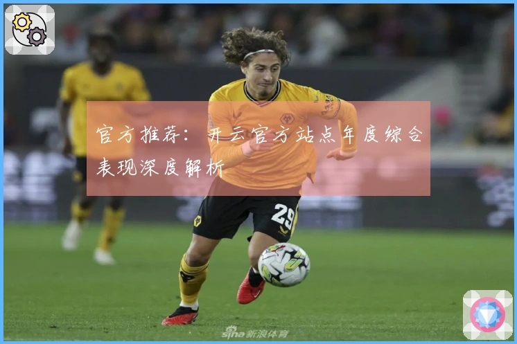 官方推荐：开云官方站点年度综合表现深度解析