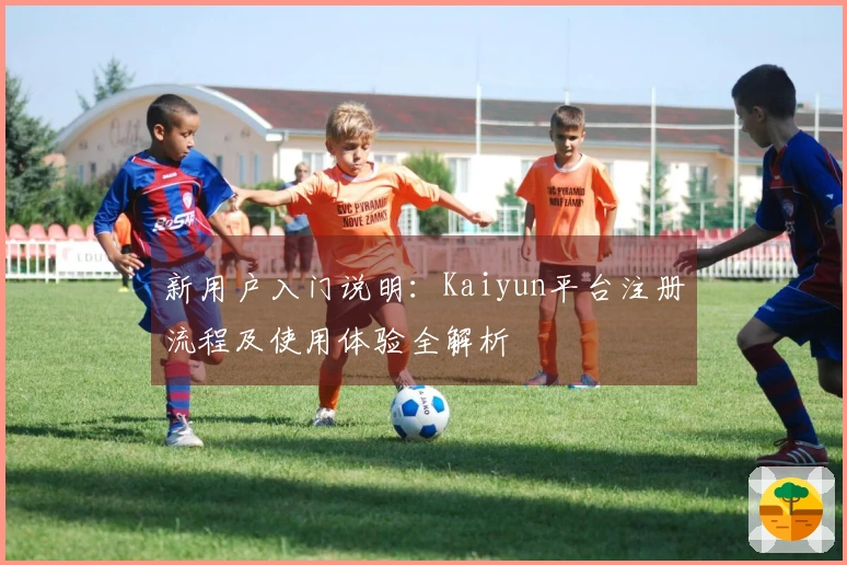 新用户入门说明：Kaiyun平台注册流程及使用体验全解析