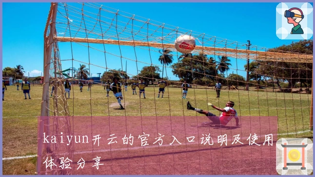 kaiyun开云的官方入口说明及使用体验分享
